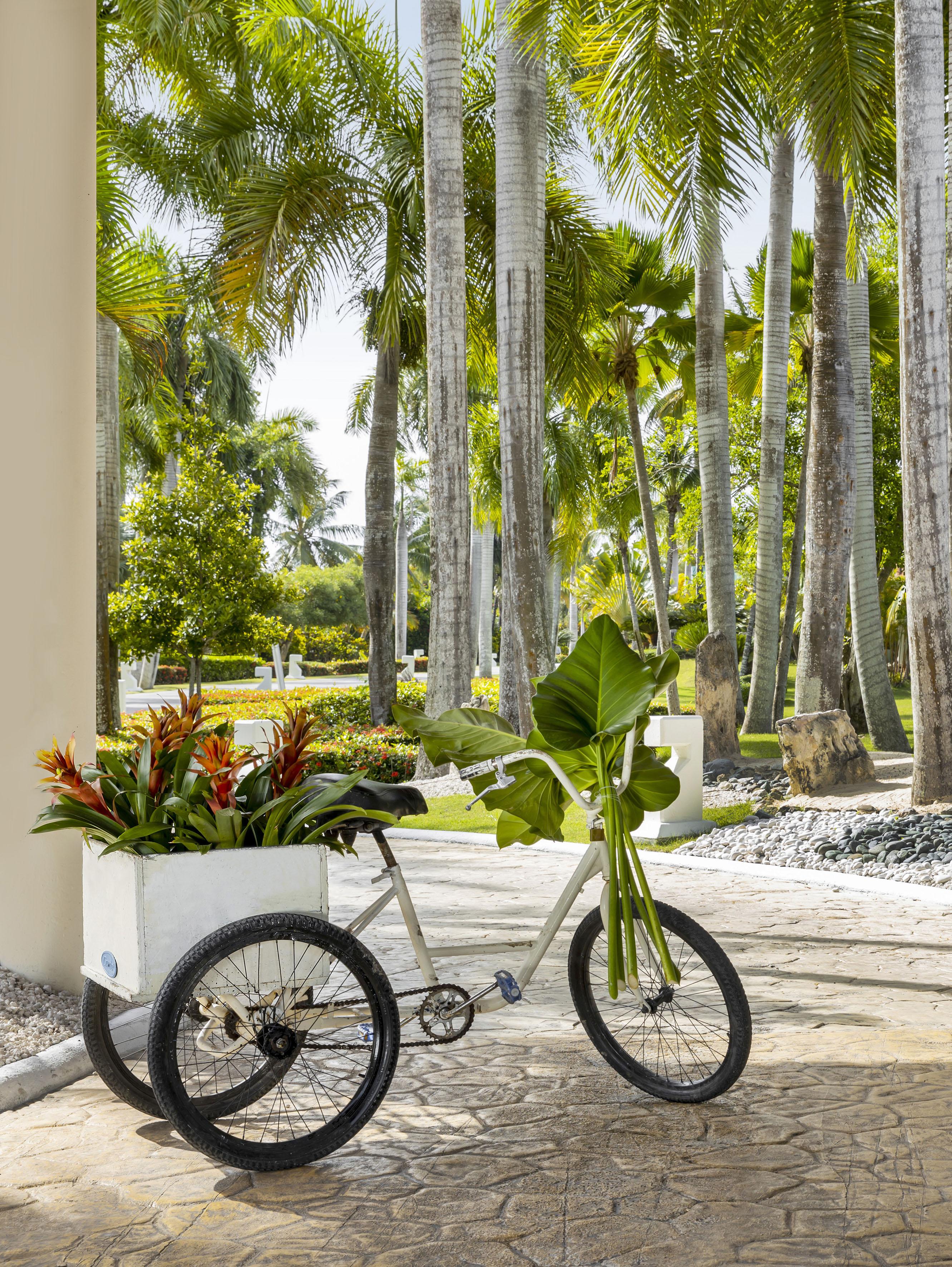 Hotel The Reserve At Paradisus 5*